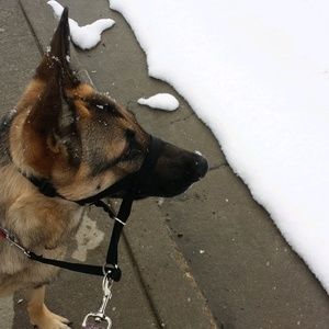 Meet your Posher, Emma